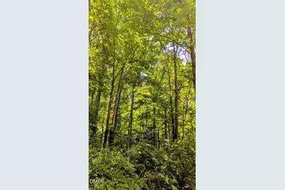 Lot 1 Blueberry Lane, Chapel Hill, NC 27516 - Photo 5