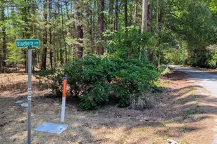 Lot 1 Blueberry Ln, Chapel Hill, NC 27516 - Photo 1