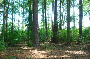41 Deerfield Ln, Dunn, NC 28334 - Photo 17