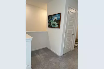 111 Golden Gate Lane, Chapel Hill, NC 27516 - Photo 29