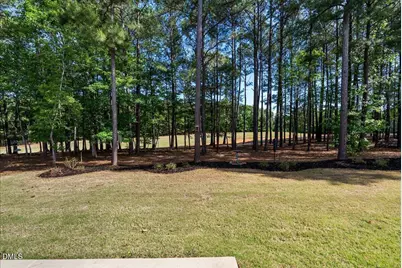 140 Olde Liberty Drive, Youngsville, NC 27596 - Photo 35