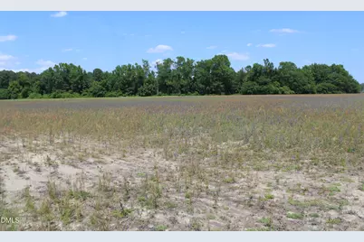 0 Lees Chapel Church Road, Plain View, NC 28334 - Photo 3