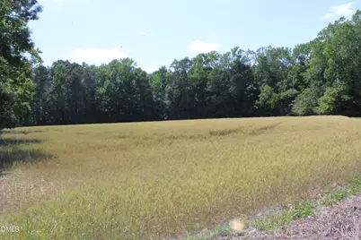 0 Lees Chapel Church Road, Plain View, NC 28334 - Photo 13