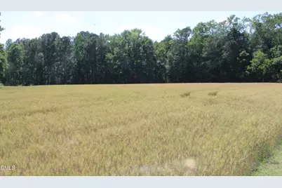 0 Lees Chapel Church Road, Plain View, NC 28334 - Photo 11