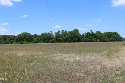 0 Lees Chapel Church Road, Plain View, NC 28334 - Photo 7