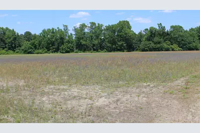0 Lees Chapel Church Road, Plain View, NC 28334 - Photo 1