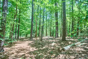 4204 Kerley Rd, Durham, NC 27705 - Photo 23