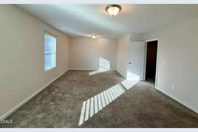 1152 Chestnut Bluff Run, Apex, NC 27502 - Photo 21