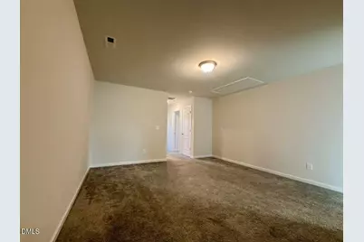 1152 Chestnut Bluff Run, Apex, NC 27502 - Photo 19
