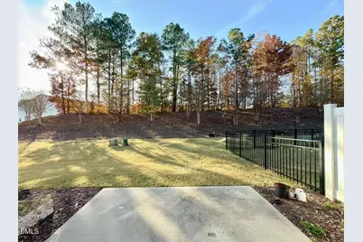 1152 Chestnut Bluff Run, Apex, NC 27502 - Photo 33