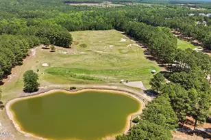 126 Shining Water Ln, Spring Lake, NC 28390 - Photo 59