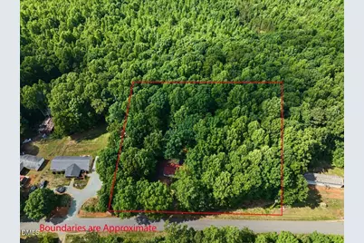 289 Alex Watson Road, Siler City, NC 27344 - Photo 31