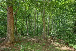 289 Alex Watson Rd, Siler City, NC 27344 - Photo 25