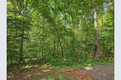 289 Alex Watson Road, Siler City, NC 27344 - Photo 23