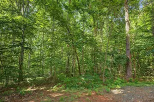 289 Alex Watson Rd, Siler City, NC 27344 - Photo 23