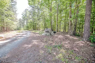 3110 Buckhorn Rd, Sanford, NC 27330 - Photo 55