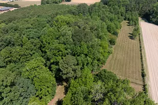 1208 Lake Glad Rd, Wendell, NC 27591 - Photo 13