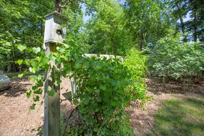 1208 Lake Glad Road, Wendell, NC 27591 - Photo 9