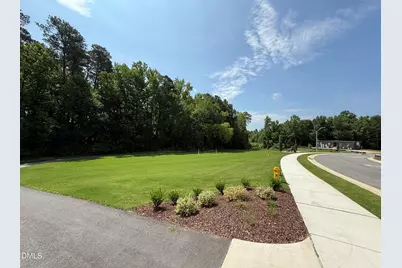 505 Jocund Street #43, Rolesville, NC 27571 - Photo 47