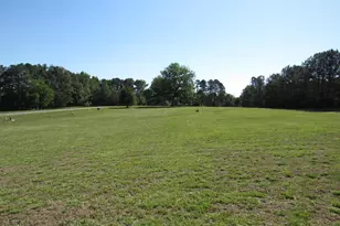25 Bright Horizon Ln, Louisburg, NC 27549 - Photo 11