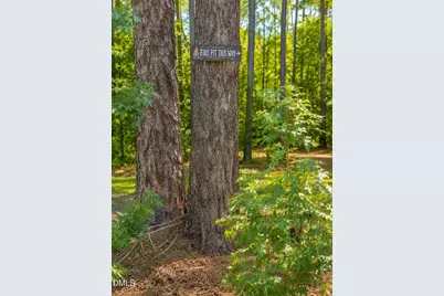 138 Ottawa Drive, Louisburg, NC 27549 - Photo 29