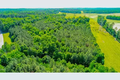 10.19 Acre Orange Grove Road, Hillsborough, NC 27278 - Photo 7