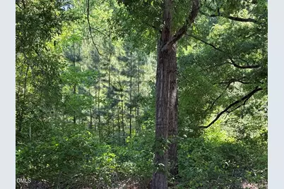 1.5 Ac Lot Country Club Road, Roxboro, NC 27574 - Photo 3