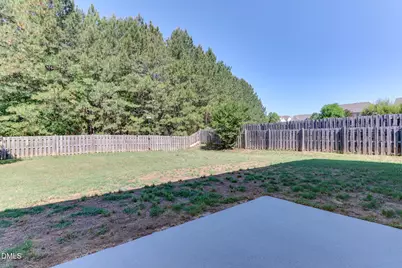 10 Wild Sage Way, Durham, NC 27703 - Photo 19