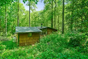25 Posse Creek Rd, Burnsville, NC 28714 - Photo 21
