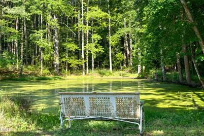 50 Robert Sledge Road, Spring Hope, NC 27882 - Photo 37