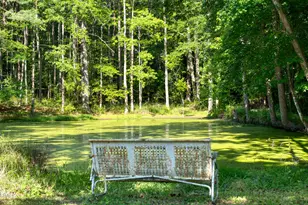 50 Robert Sledge Rd, Spring Hope, NC 27882 - Photo 37
