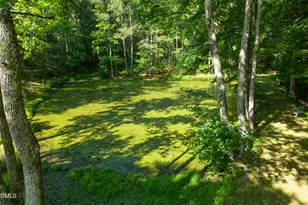 50 Robert Sledge Rd, Spring Hope, NC 27882 - Photo 47