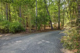 360 Roberson Creek Rd, Pittsboro, NC 27312 - Photo 87