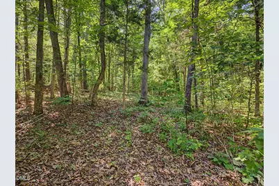 360 Roberson Creek Road, Pittsboro, NC 27312 - Photo 85