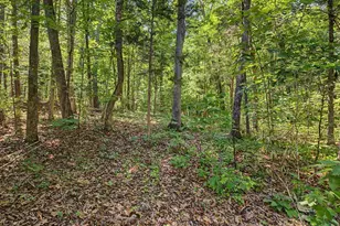 360 Roberson Creek Rd, Pittsboro, NC 27312 - Photo 85