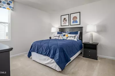 97 Better Day Way, Lillington, NC 27546 - Photo 17