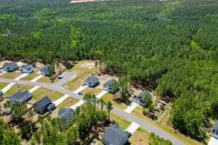 164 Rocking horse Ln, Sanford, NC 27332 - Photo 55