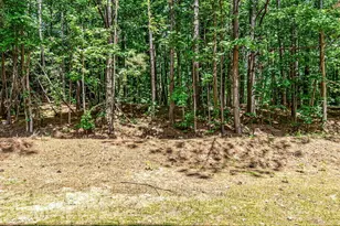 3000 Trailwood Pines Ln, Raleigh, NC 27603 - Photo 21