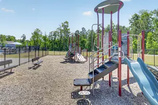 427 Emerald Shire Wy, Zebulon, NC 27597 - Photo 25