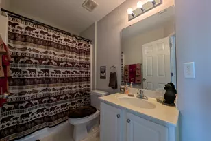 11031 David Stone Dr, Chapel Hill, NC 27517 - Photo 15