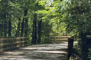 724 Peninsula Forest Pl, Cary, NC 27519 - Photo 51