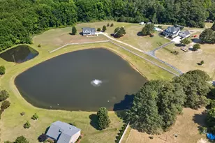 923 White Memorial Church Rd, Willow Springs, NC 27592 - Photo 45