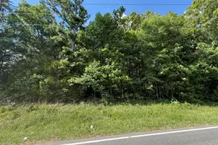 3415 Mt Willing Rd, Efland, NC 27243 - Photo 31