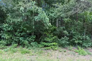 3415 Mt Willing Rd, Efland, NC 27243 - Photo 29