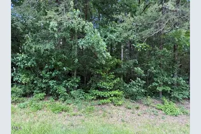 3415 Mt Willing Road, Efland, NC 27243 - Photo 33