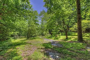 205 Anolis Dr, Pittsboro, NC 27312 - Photo 83