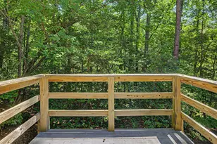 205 Anolis Dr, Pittsboro, NC 27312 - Photo 33