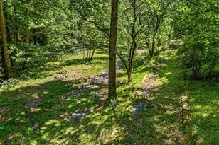 205 Anolis Dr, Pittsboro, NC 27312 - Photo 81
