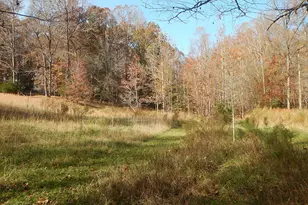 205 Anolis Dr, Pittsboro, NC 27312 - Photo 85