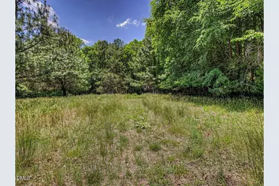 205 Anolis Drive, Pittsboro, NC 27312 - Photo 61